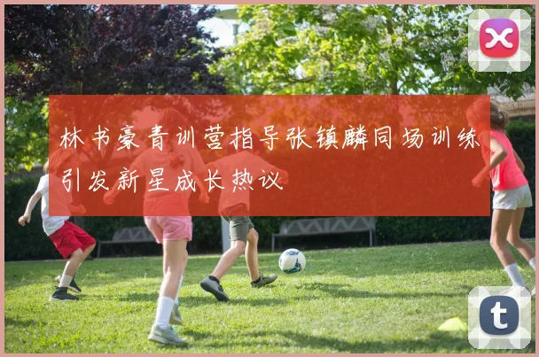 林书豪青训营指导张镇麟同场训练引发新星成长热议
