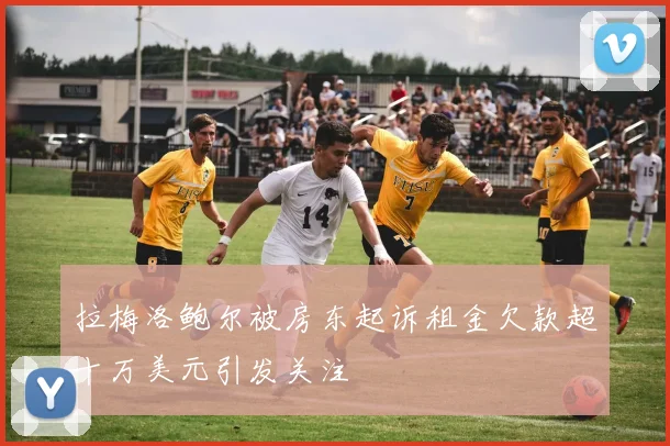 拉梅洛鲍尔被房东起诉租金欠款超十万美元引发关注